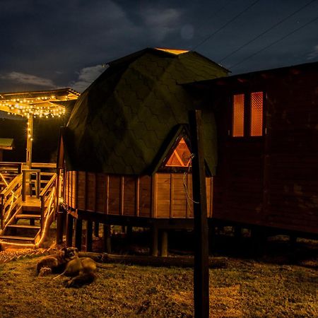 Los Nopales Glamping Sáchica Zewnętrze zdjęcie