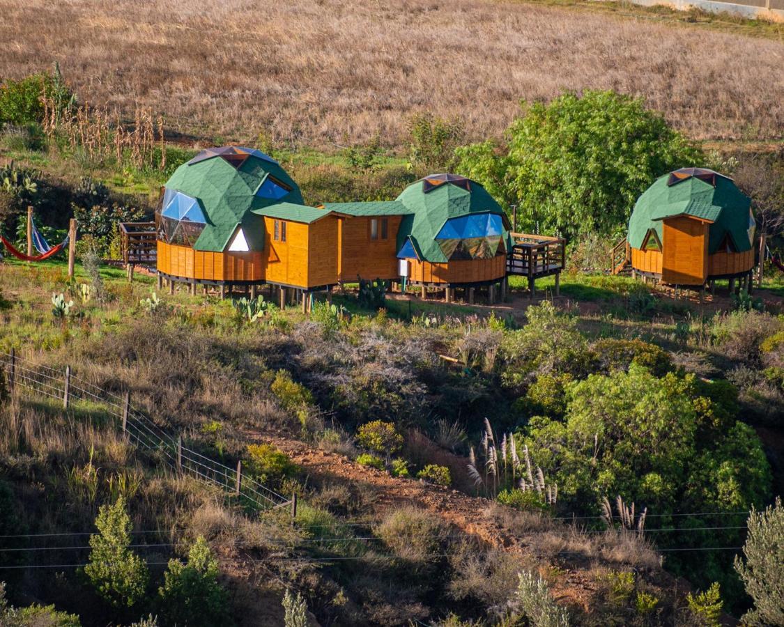 Los Nopales Glamping Sáchica Zewnętrze zdjęcie